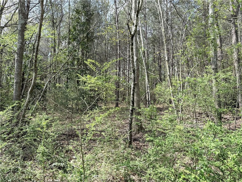 0 Old Columbus Road Bowdon, GA 30108 - Photo 6 of 9