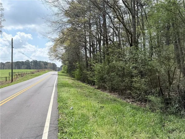 a view of a yard with potted plants