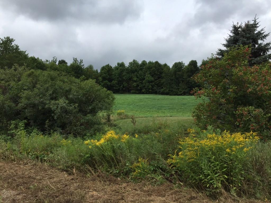 181 Littlefield Road Jackson, ME 04921 - Photo 9 of 29 Back Yard