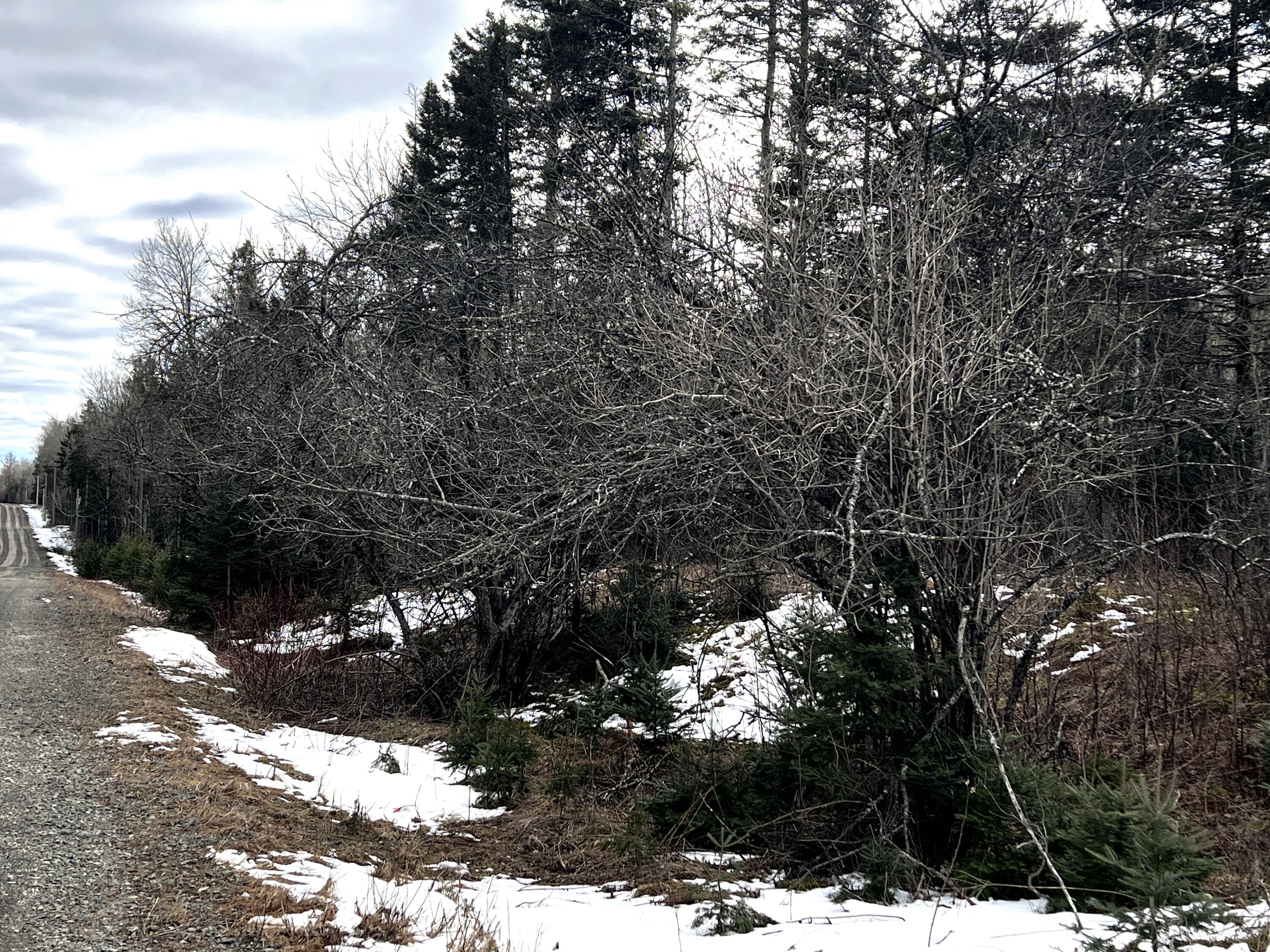 1040 Estabrook Road Amity, ME 04471 - Photo 6 of 17 IMG_0338