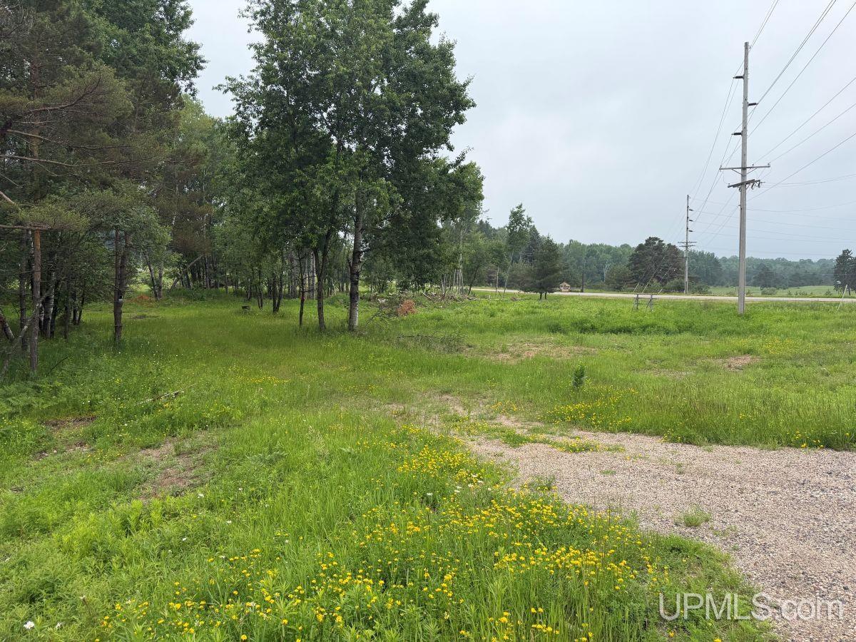 Tbd Bellagomba Road Iron Mountain, MI 49801 - Photo 4 of 6