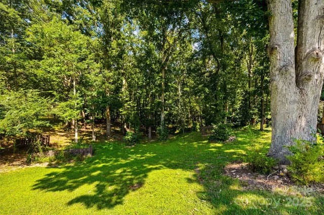 a backyard of a house with lots of plants and tree