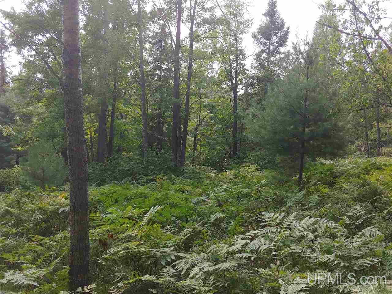 42-acres 42-acres Co Road Ishpeming, MI 49849 - Photo 12 of 16