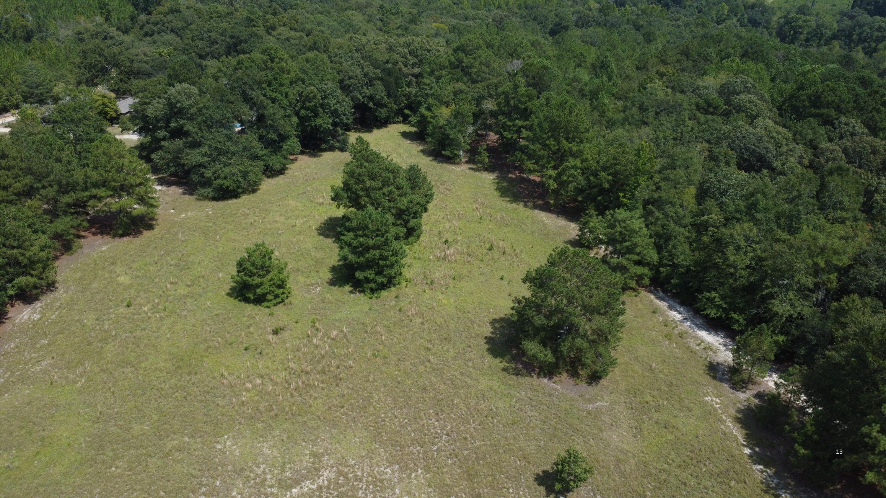 0 Warner Road Salley, SC 29137 - Photo 13 of 19 Gallery Image 13