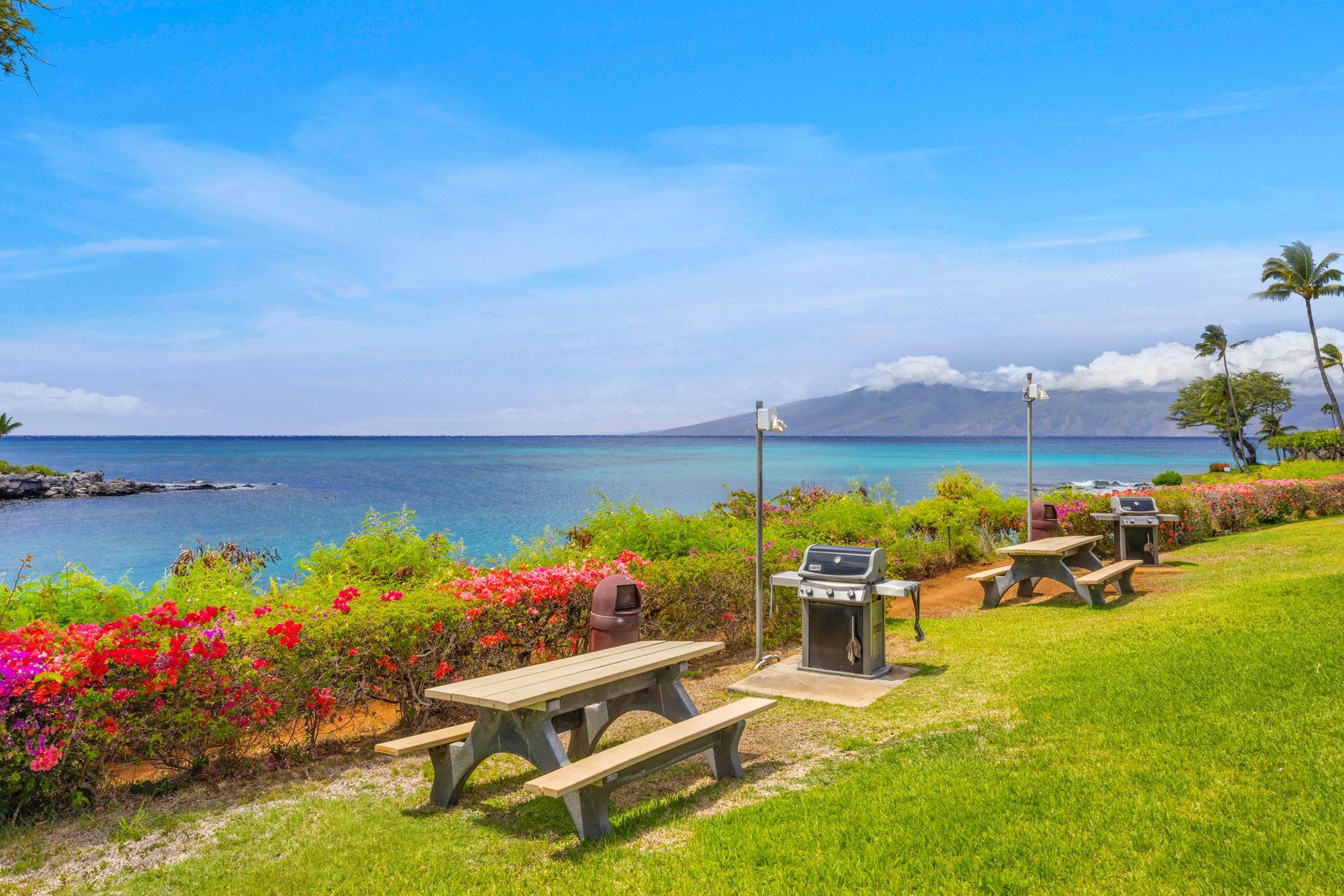 5295 Lower Honoapiilani Road, Unit B39 Lahaina, HI 96761 - Photo 26 of 32