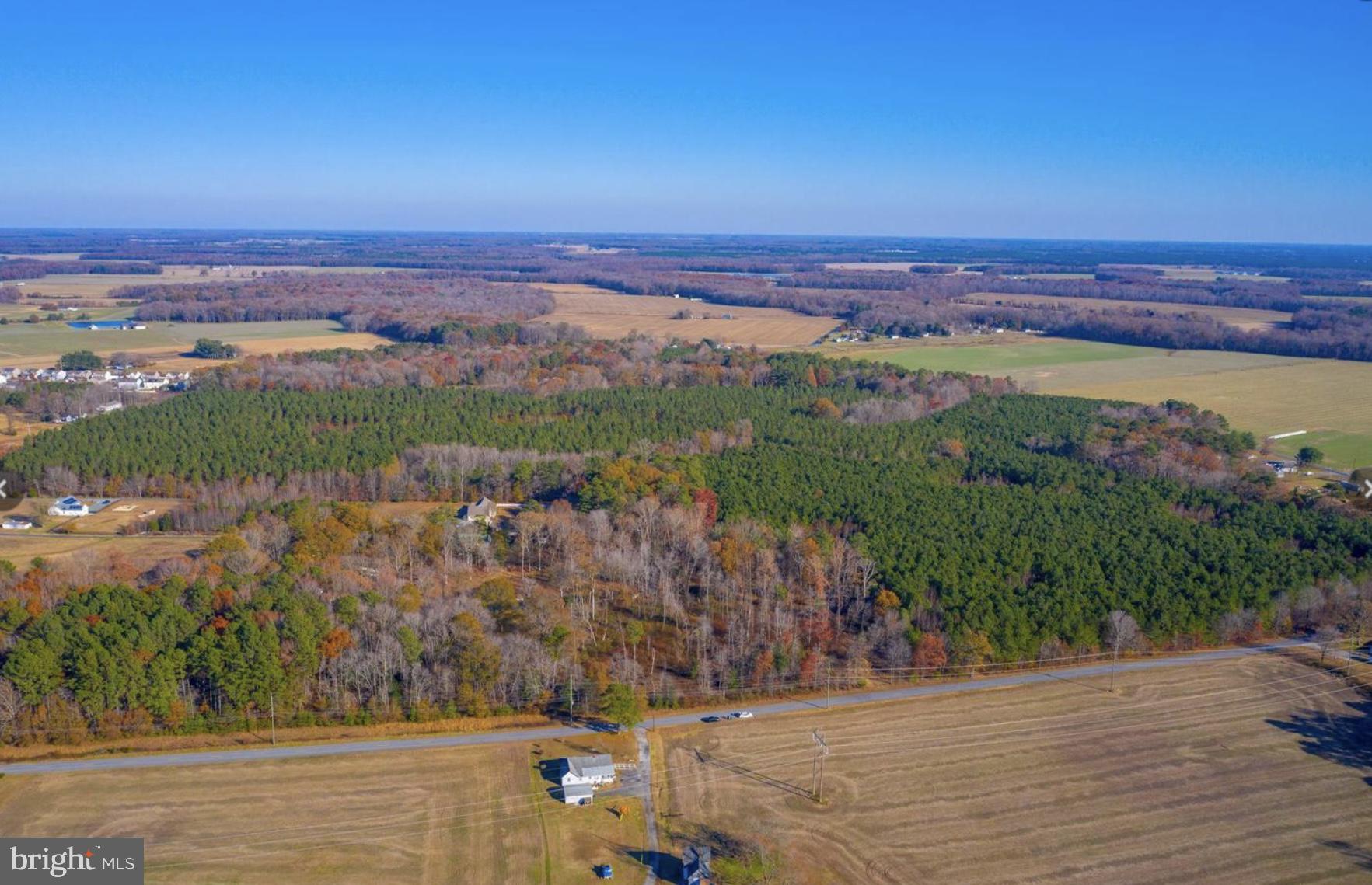 2458 Pearson Road Denton, MD 21629 - Photo 11 of 16