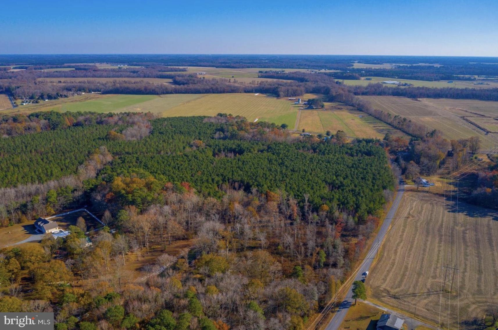 2458 Pearson Road Denton, MD 21629 - Photo 12 of 16