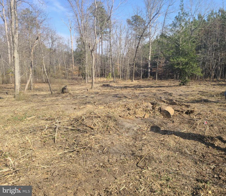 2458 Pearson Road Denton, MD 21629 - Photo 13 of 16 Perc approved,