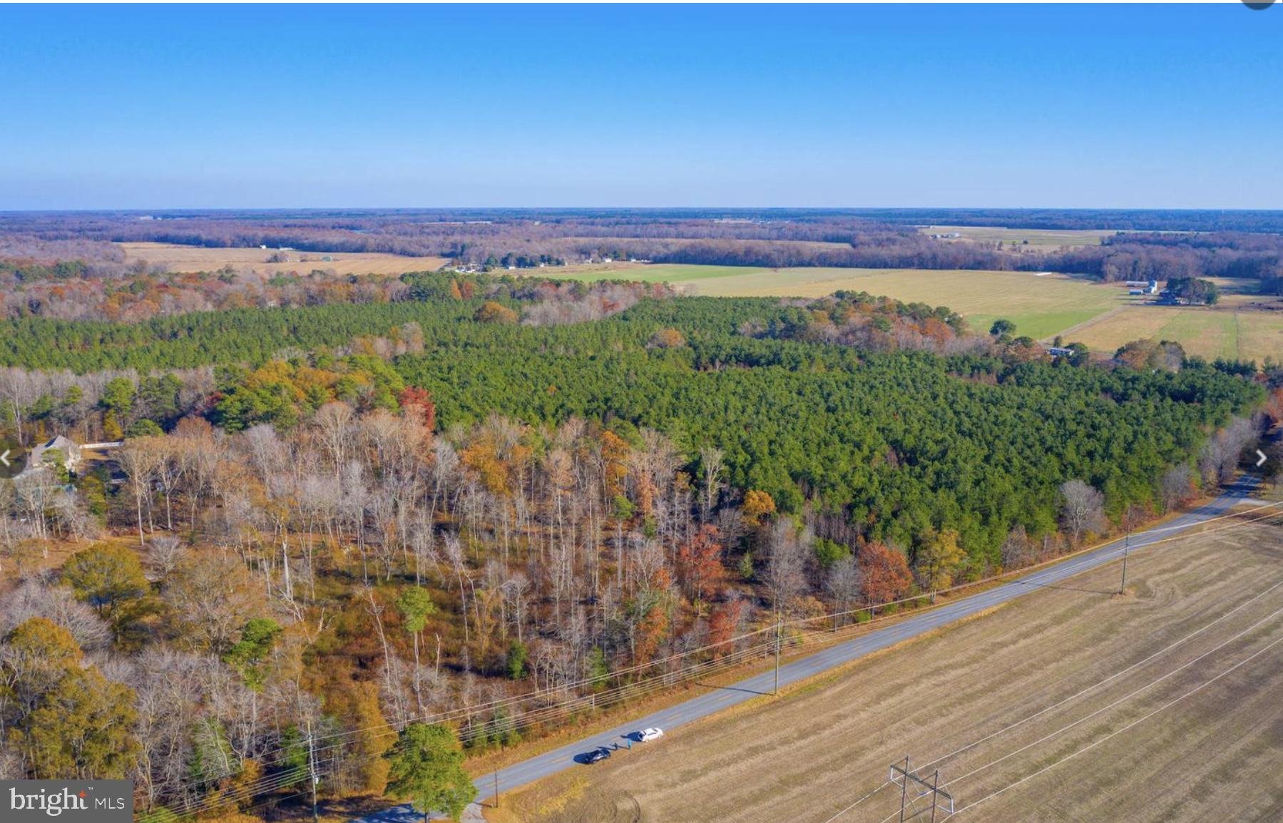 2458 Pearson Road Denton, MD 21629 - Photo 15 of 16