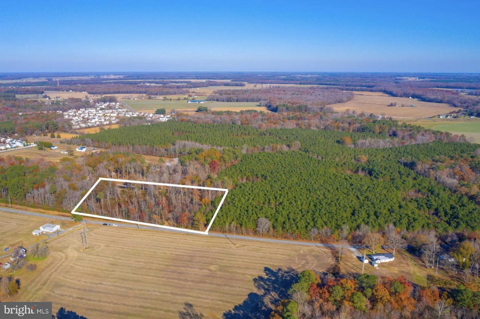 2458 Pearson Road Denton, MD 21629 - Photo 2 of 16 Property line approximate, not to be relied upon