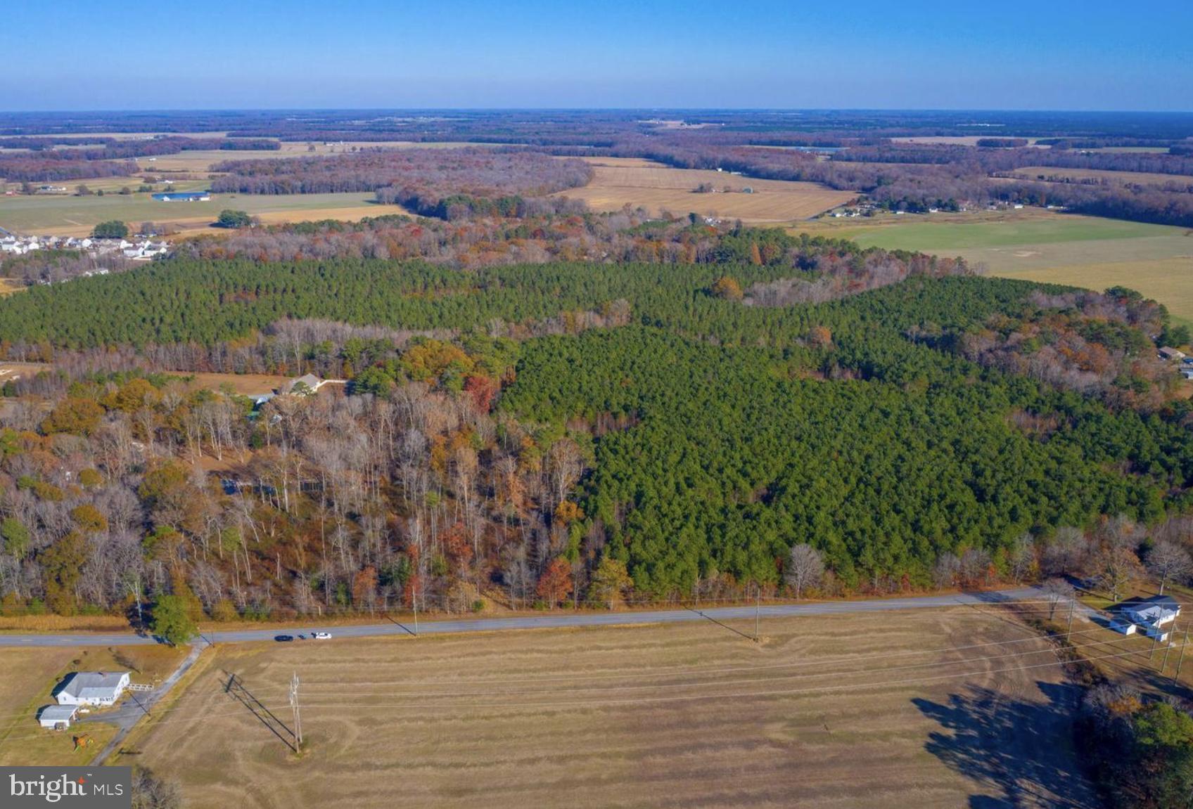 2458 Pearson Road Denton, MD 21629 - Photo 4 of 16