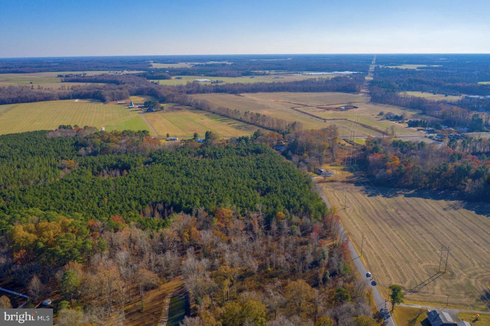 2458 Pearson Road Denton, MD 21629 - Photo 6 of 16