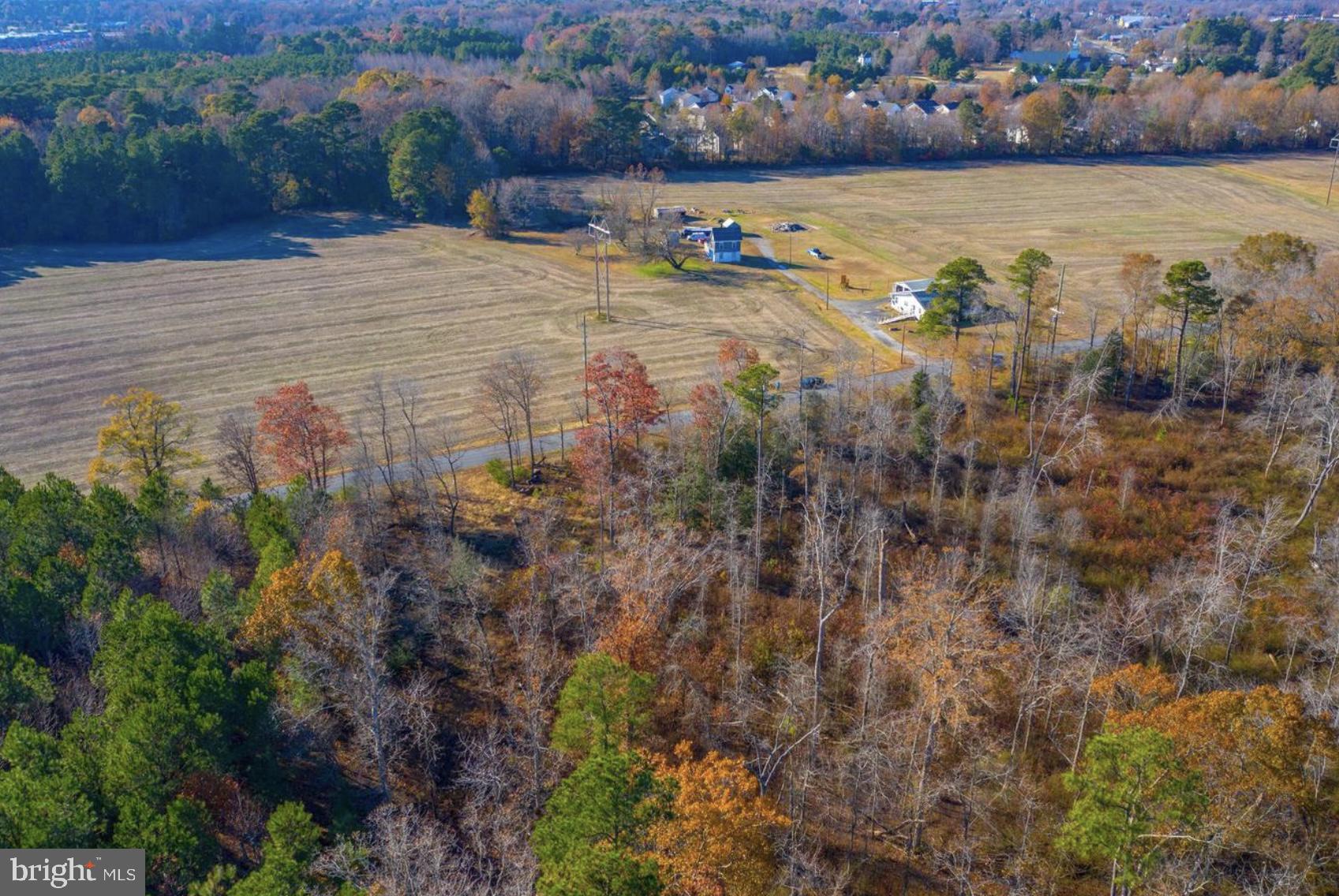 2458 Pearson Road Denton, MD 21629 - Photo 10 of 16