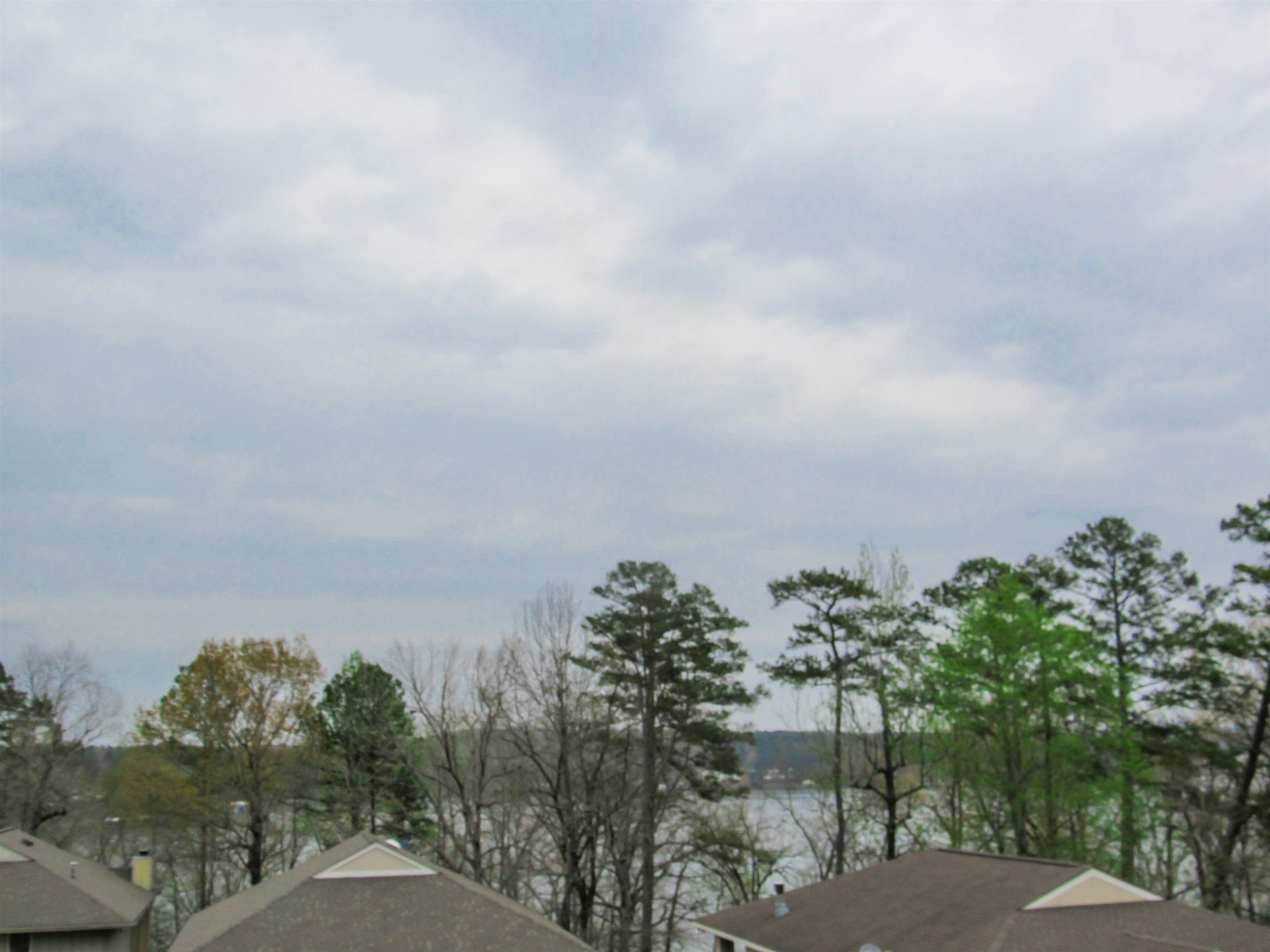 19 Aqua Drive Iuka, MS 38852 - Photo 3 of 33 a view of a city with green space