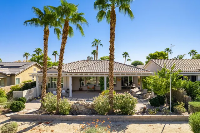 a view of a patio with table and chairs potted plants and palm trees