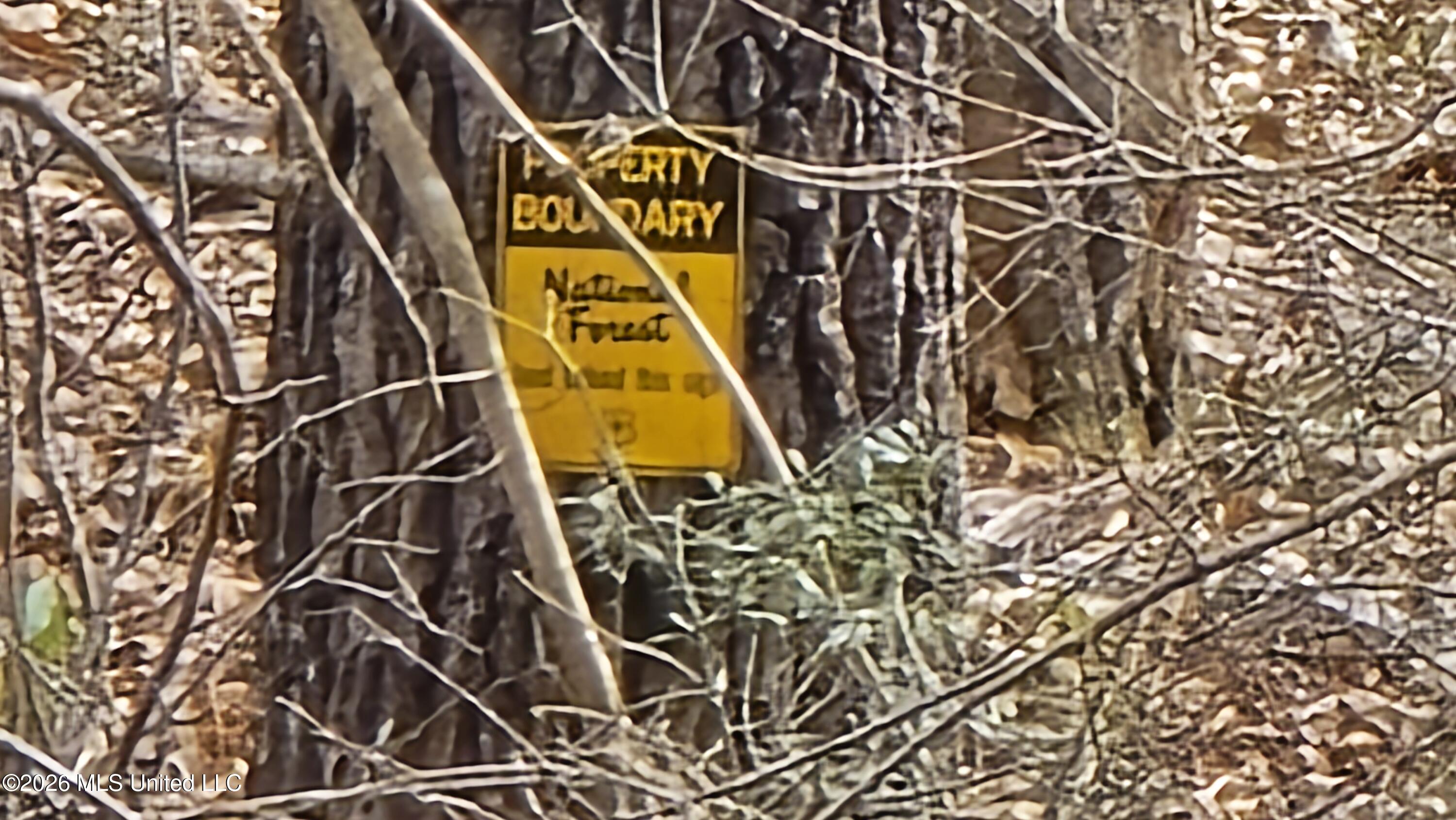 1104 Langford Road Meadville, MS 39653 - Photo 20 of 46 20260224_141815