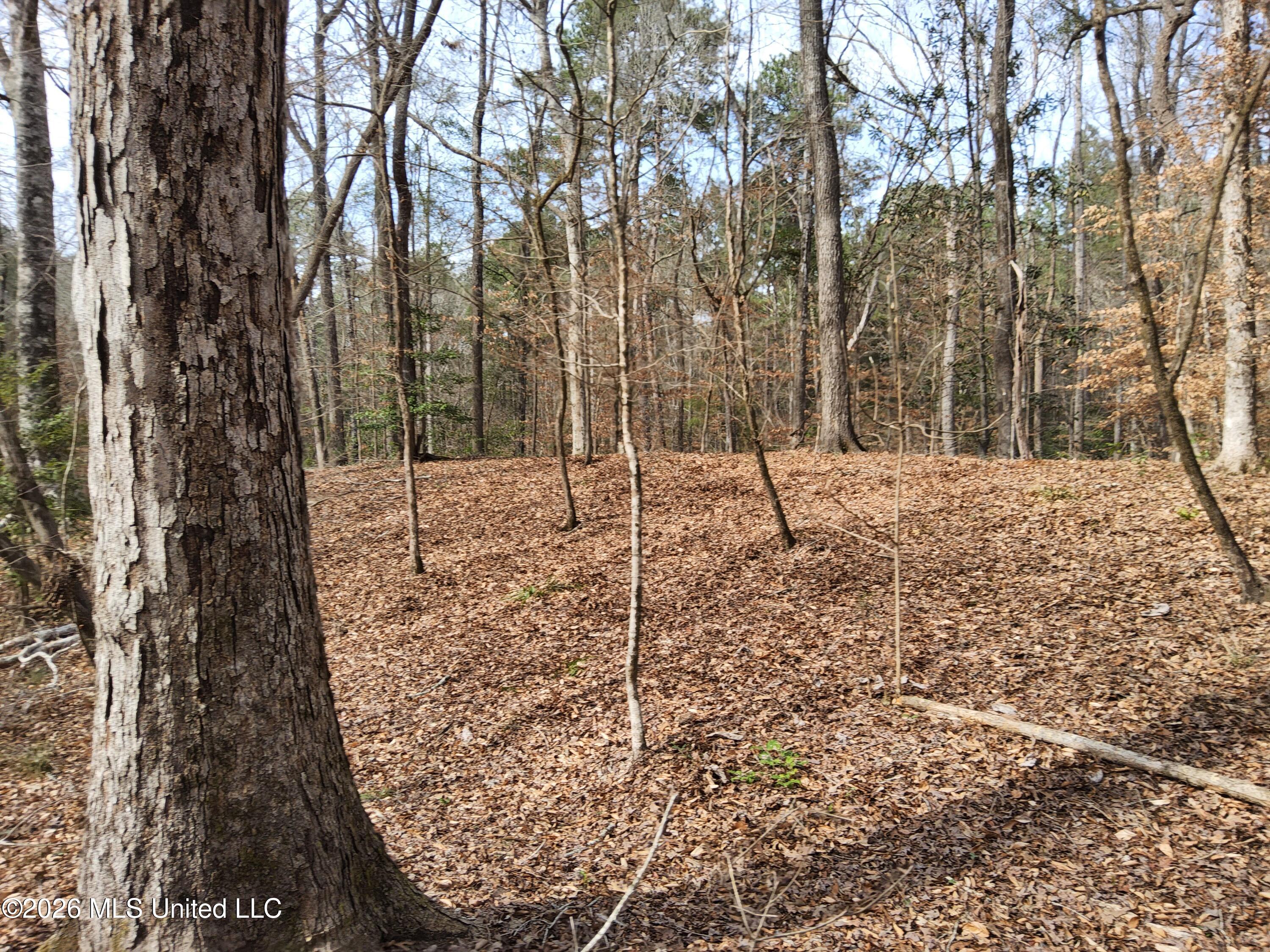 1104 Langford Road Meadville, MS 39653 - Photo 21 of 46 20260224_142344