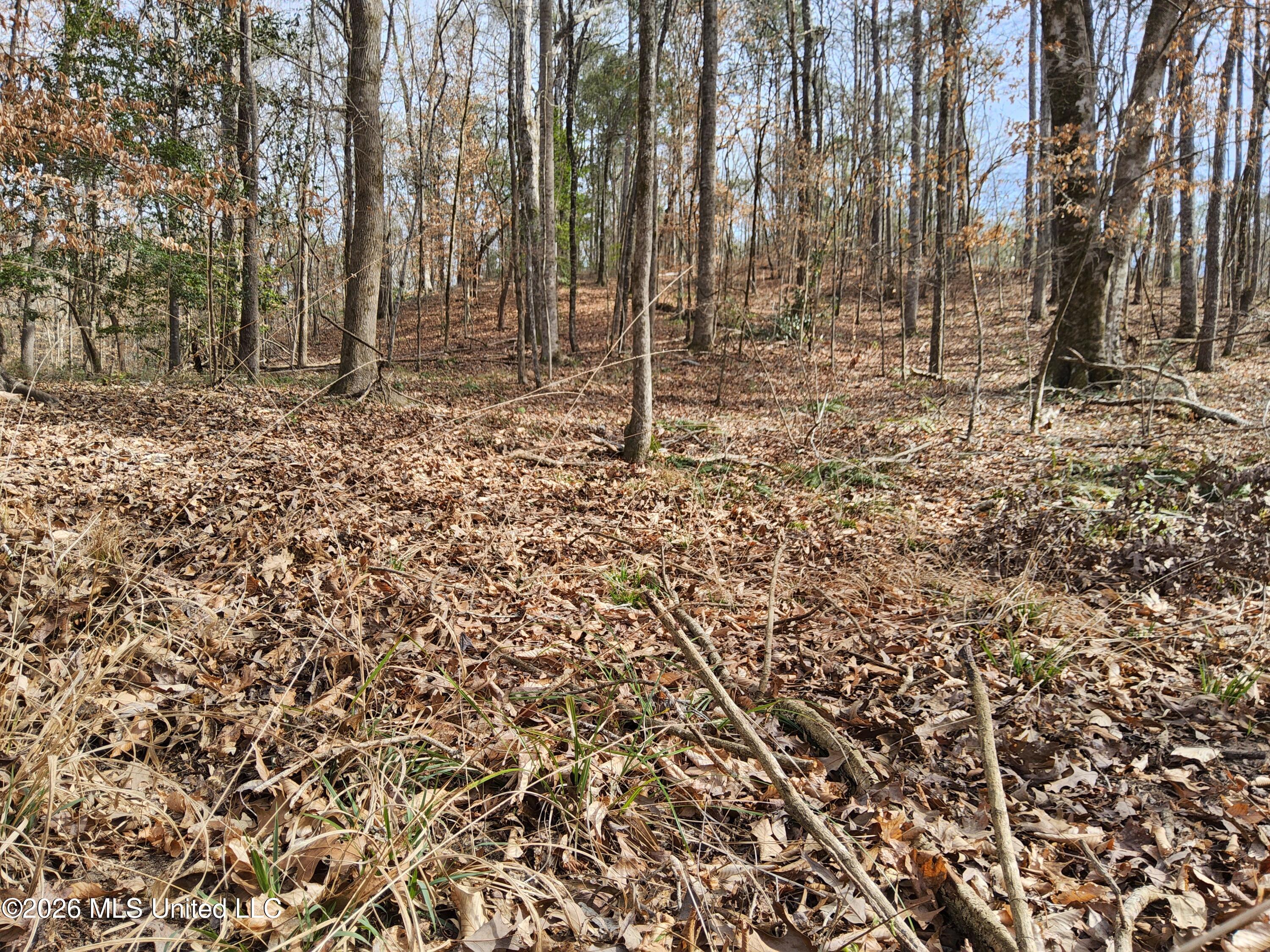 1104 Langford Road Meadville, MS 39653 - Photo 23 of 46 20260224_142536