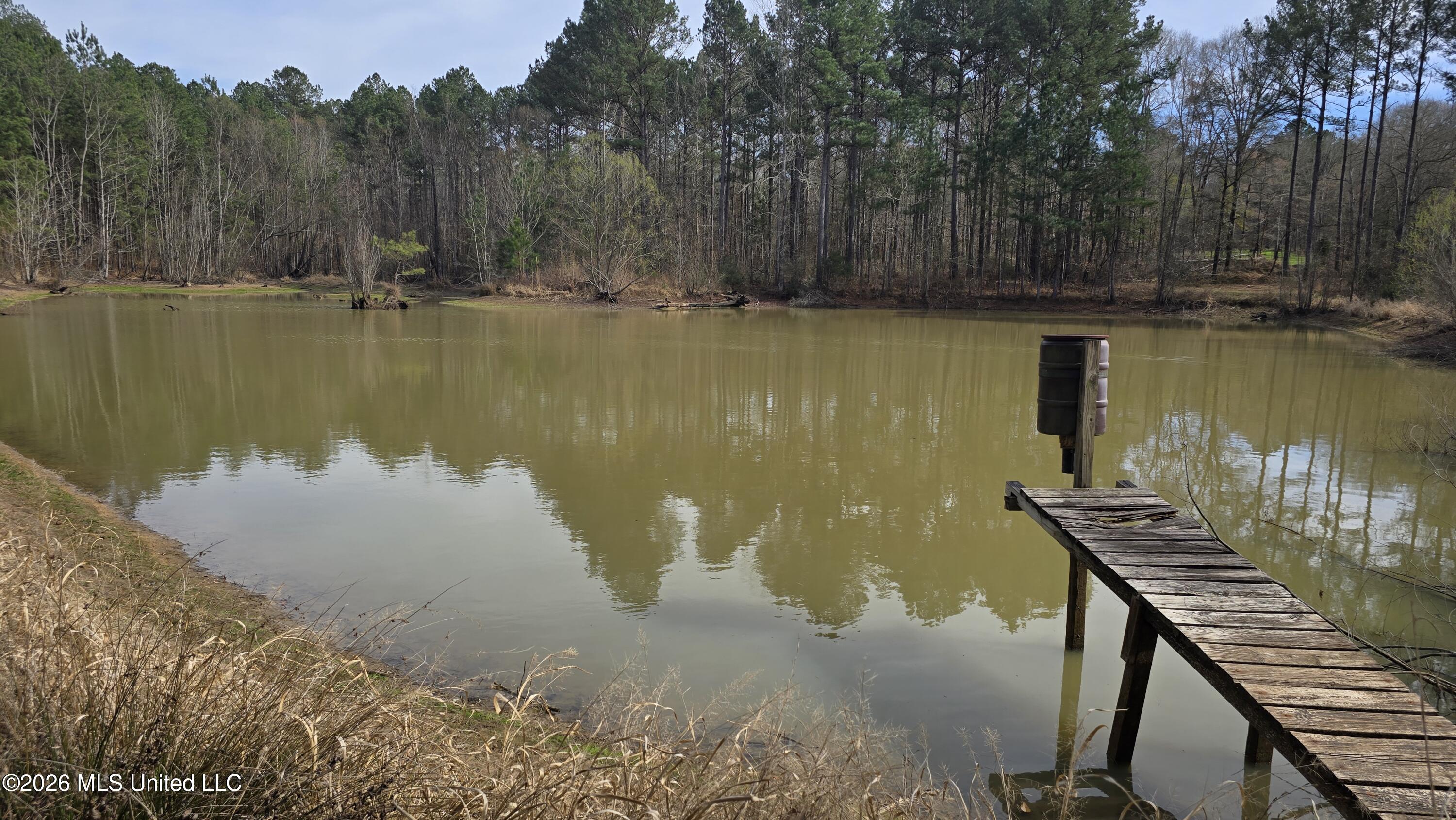 1104 Langford Road Meadville, MS 39653 - Photo 24 of 46 20260224_143558
