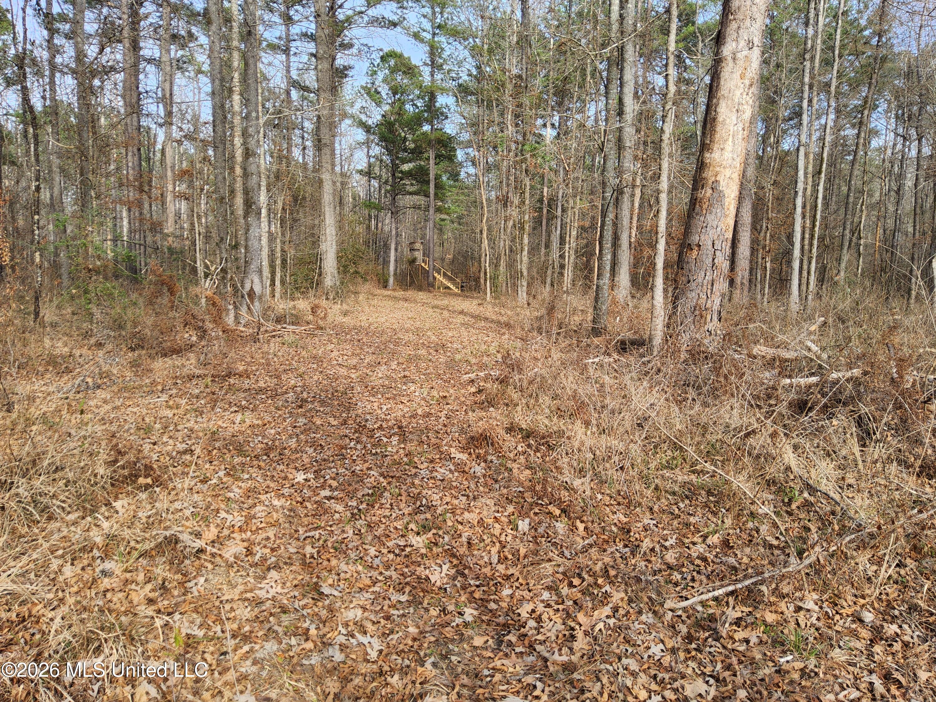 1104 Langford Road Meadville, MS 39653 - Photo 28 of 46 20260224_150735