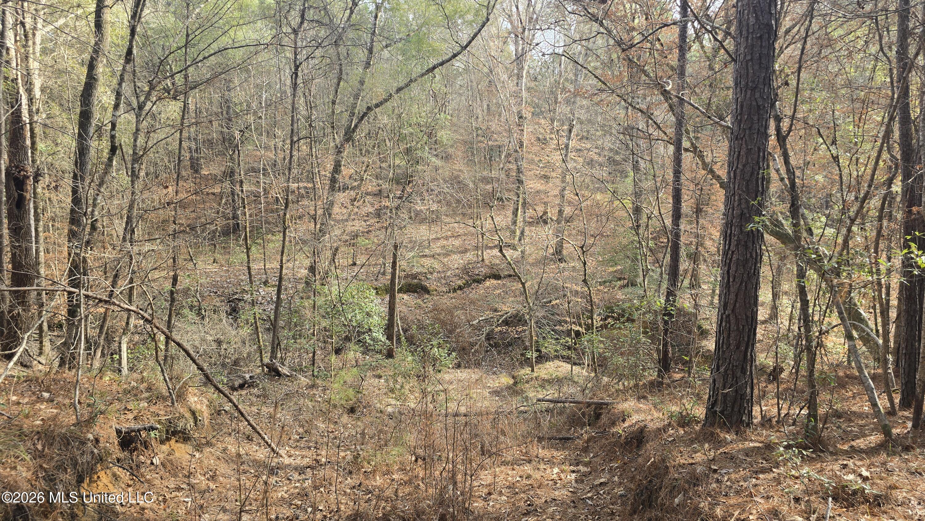 1104 Langford Road Meadville, MS 39653 - Photo 29 of 46 20260224_152154