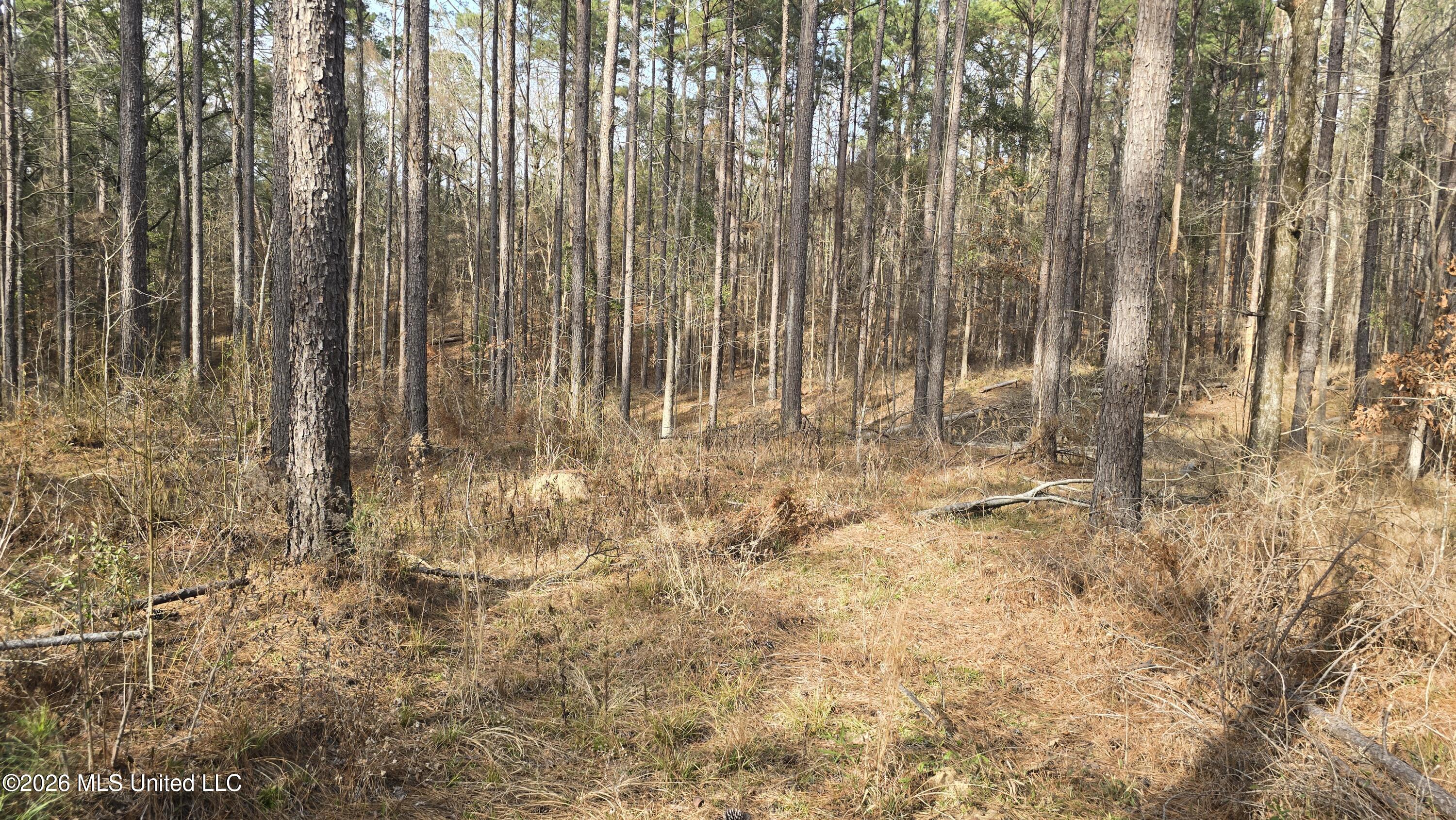 1104 Langford Road Meadville, MS 39653 - Photo 30 of 46 20260224_152410