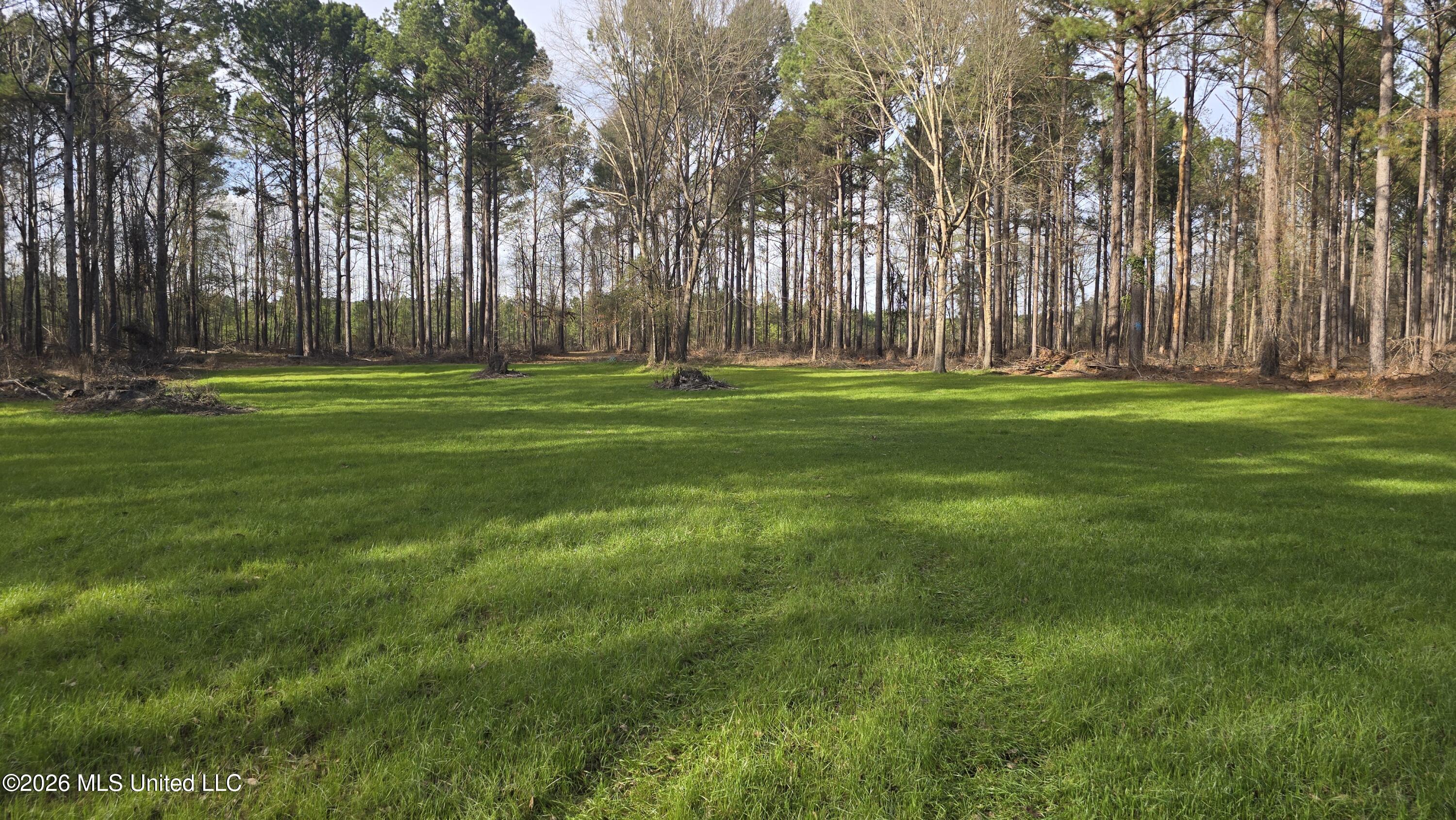 1104 Langford Road Meadville, MS 39653 - Photo 33 of 46 20260224_154446