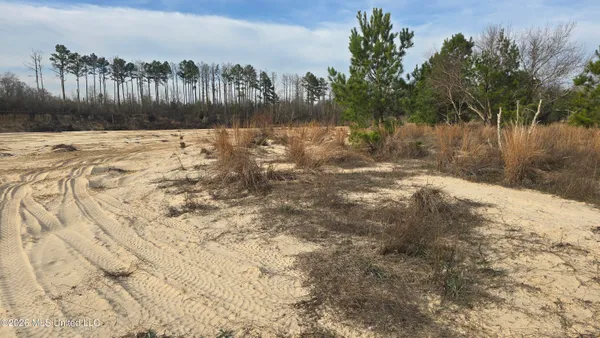 $1,500,000 | 1104 Langford Road, Meadville, MS 39653