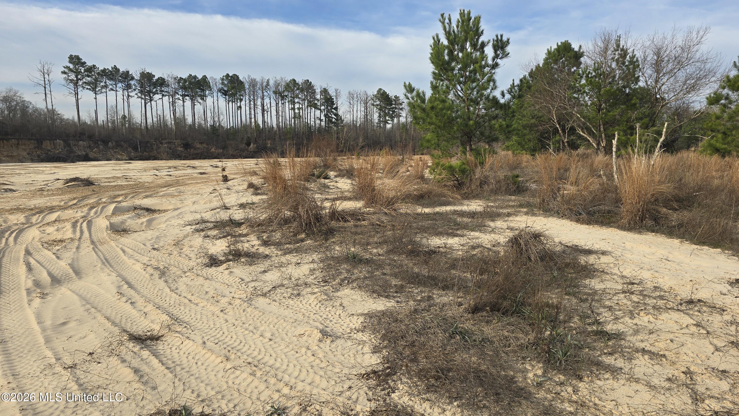 1104 Langford Road Meadville, MS 39653 - Photo 35 of 46 20260224_160807