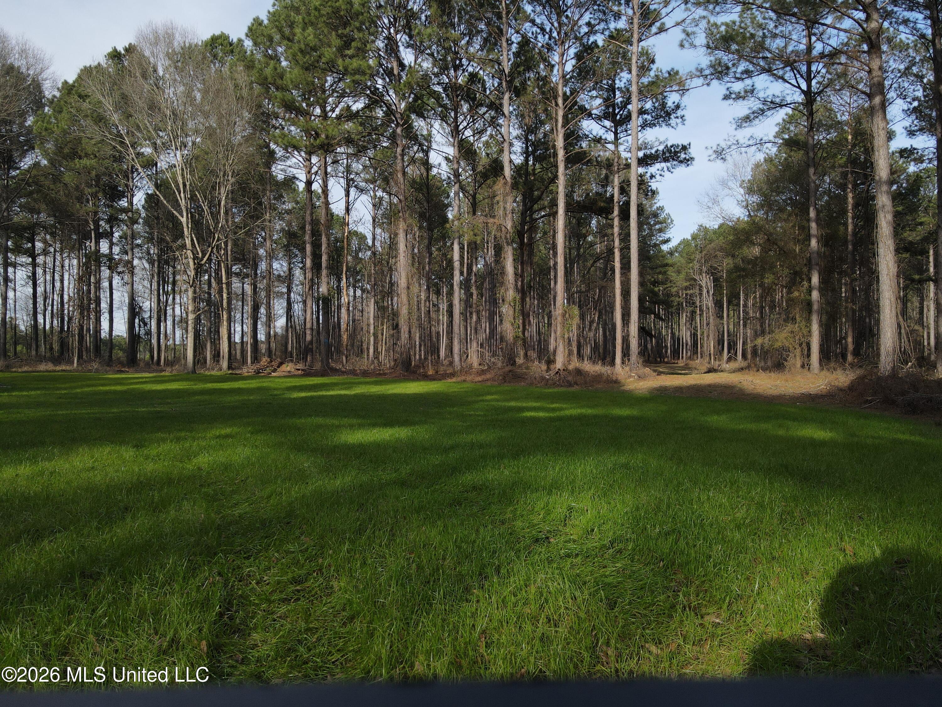 1104 Langford Road Meadville, MS 39653 - Photo 41 of 46 DJI_0171