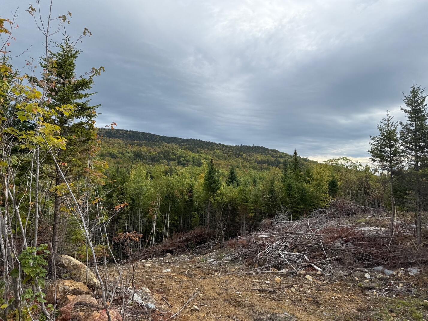 28 Adrian's Way Kingfield, ME 04947 - Photo 3 of 5 IMG_1344