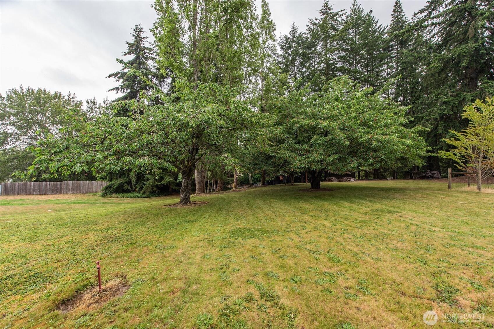 1653 Taylor Cutoff Road Sequim, WA 98382 - Photo 14 of 40