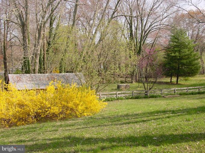 3750 Milestone Road The Plains, VA 20198 - Photo 4 of 5 View from Unit