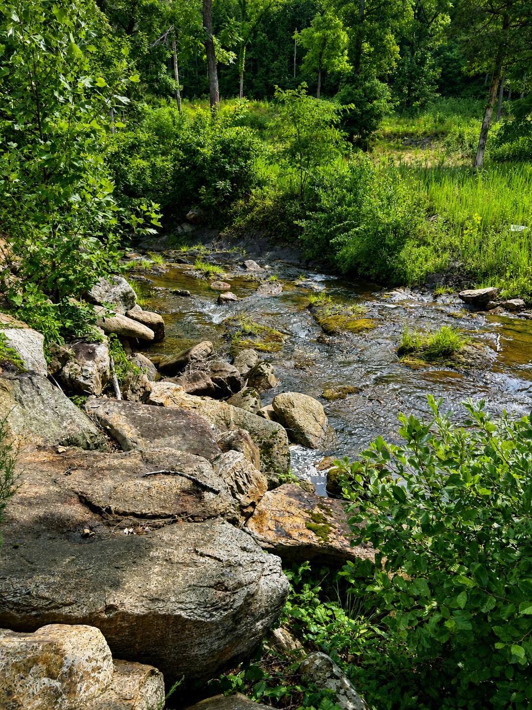 150 Tate Road Eagle Rock, VA 24085 - Photo 23 of 30 creek view