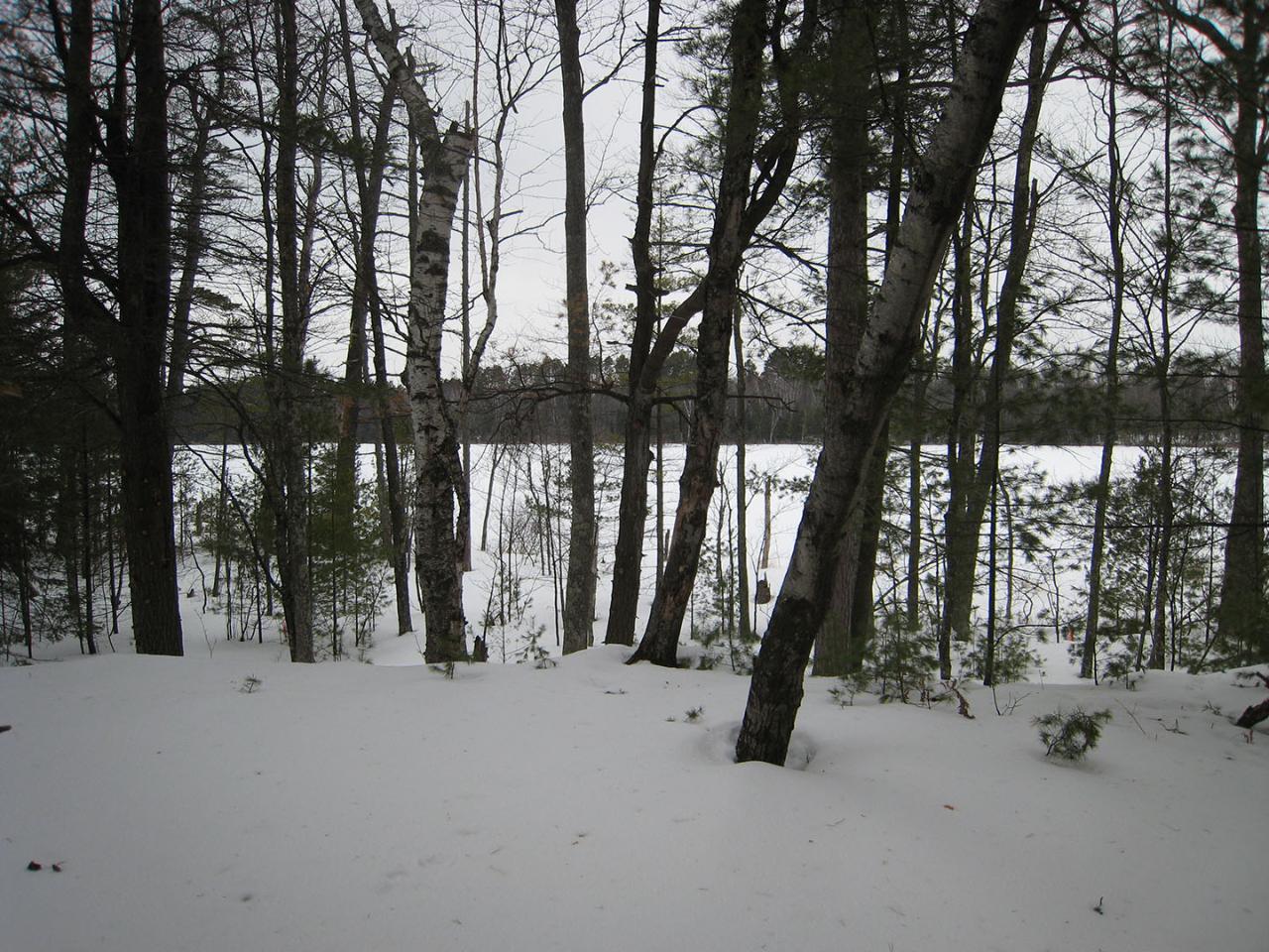 Lot 60 St Marys Road Eagle River, WI 54521 - Photo 3 of 6 Gallery Image 3