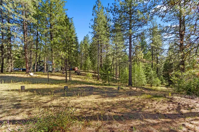 $399,000 | Nna Nna Dome Lane Way, Unit PARCELS: 2461300 2461101 2461105, Springdale, WA 99173