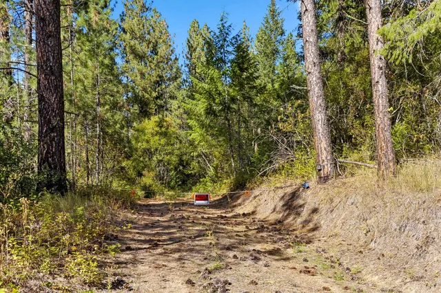 $399,000 | Nna Nna Dome Lane Way, Unit PARCELS: 2461300 2461101 2461105, Springdale, WA 99173