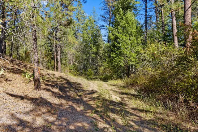 $399,000 | Nna Nna Dome Lane Way, Unit PARCELS: 2461300 2461101 2461105, Springdale, WA 99173