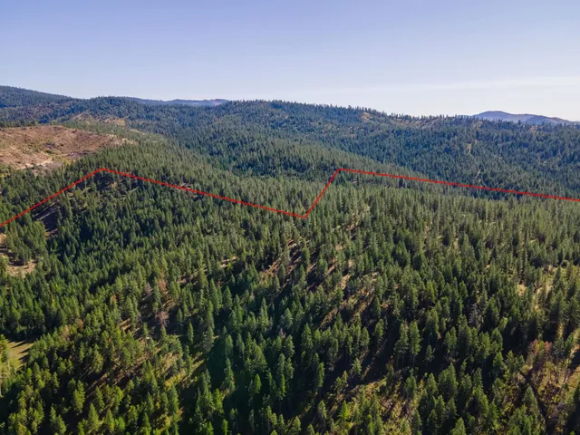 $399,000 | Nna Nna Dome Lane Way, Unit PARCELS: 2461300 2461101 2461105, Springdale, WA 99173