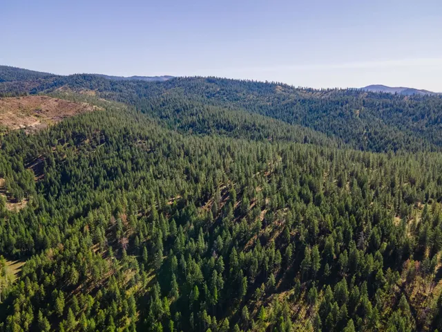 $399,000 | Nna Nna Dome Lane Way, Unit PARCELS: 2461300 2461101 2461105, Springdale, WA 99173