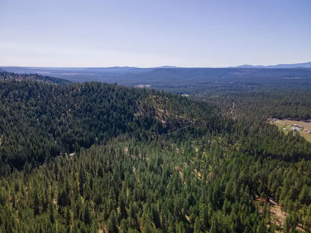 $399,000 | Nna Nna Dome Lane Way, Unit PARCELS: 2461300 2461101 2461105, Springdale, WA 99173