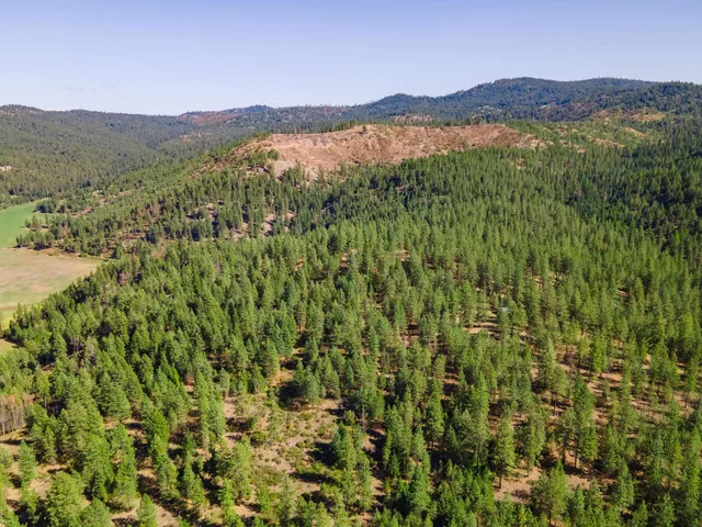 $399,000 | Nna Nna Dome Lane Way, Unit PARCELS: 2461300 2461101 2461105, Springdale, WA 99173