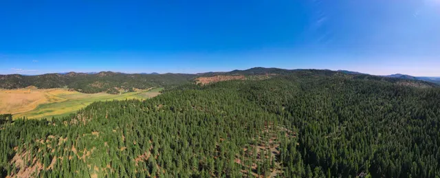 $399,000 | Nna Nna Dome Lane Way, Unit PARCELS: 2461300 2461101 2461105, Springdale, WA 99173