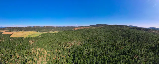 $399,000 | Nna Nna Dome Lane Way, Unit PARCELS: 2461300 2461101 2461105, Springdale, WA 99173