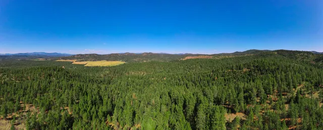 $399,000 | Nna Nna Dome Lane Way, Unit PARCELS: 2461300 2461101 2461105, Springdale, WA 99173