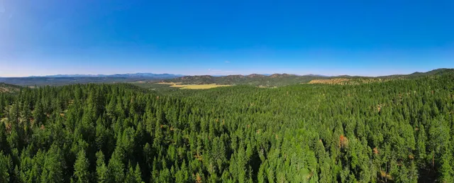 $399,000 | Nna Nna Dome Lane Way, Unit PARCELS: 2461300 2461101 2461105, Springdale, WA 99173