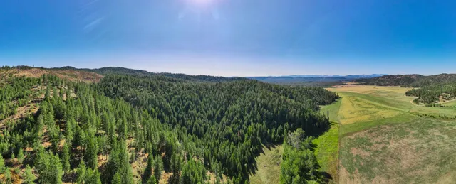 $399,000 | Nna Nna Dome Lane Way, Unit PARCELS: 2461300 2461101 2461105, Springdale, WA 99173