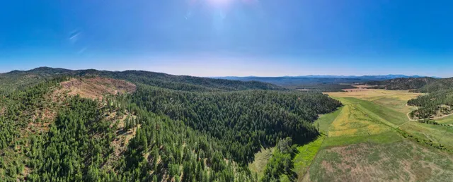 $399,000 | Nna Nna Dome Lane Way, Unit PARCELS: 2461300 2461101 2461105, Springdale, WA 99173