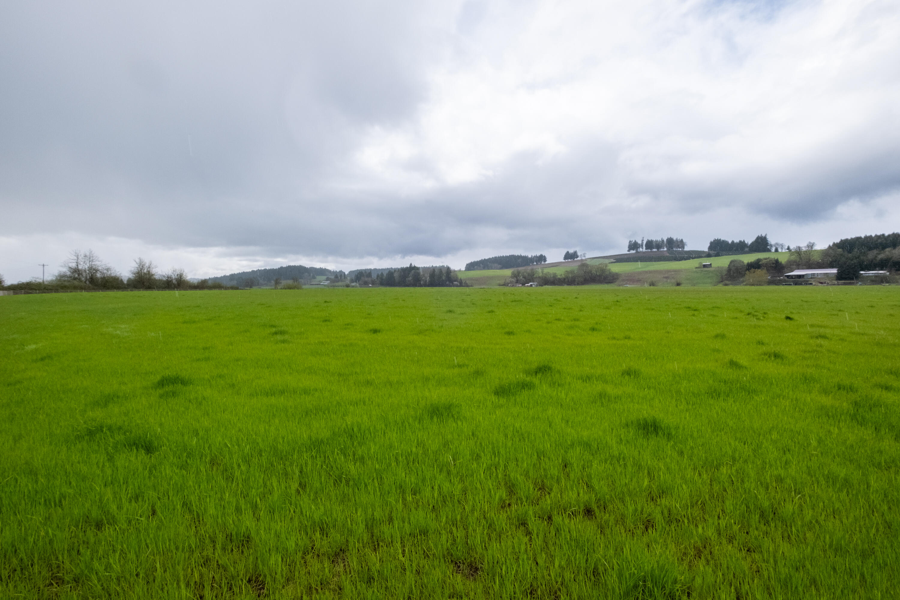 0 Applegate Trail Junction City, OR 97448 - Photo 14 of 27 a view of an outdoor space and a yard