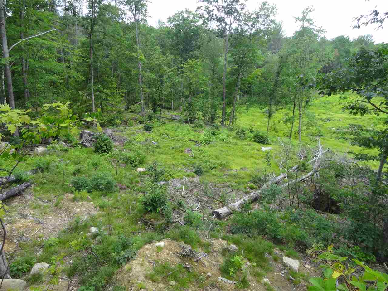 550 NW Road, Unit 15 Canterbury, NH 03224 - Photo 14 of 17